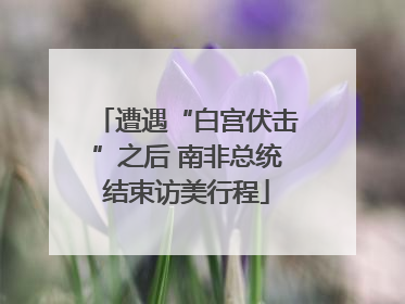 遭遇“白宫伏击”之后 南非总统结束访美行程
