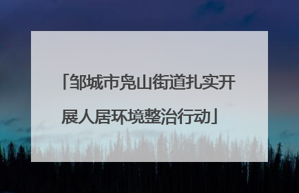 邹城市凫山街道扎实开展人居环境整治行动