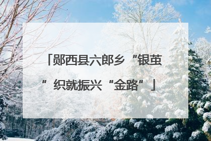 郧西县六郎乡“银茧”织就振兴“金路”