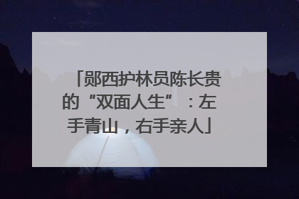 郧西护林员陈长贵的“双面人生”：左手青山，右手亲人