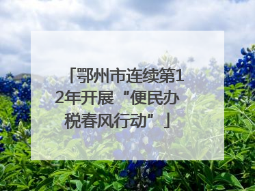 鄂州市连续第12年开展“便民办税春风行动”