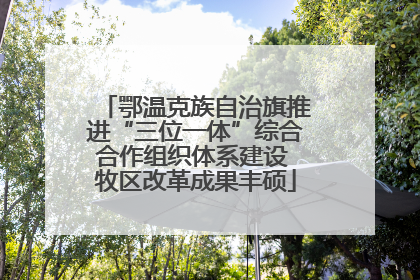 鄂温克族自治旗推进“三位一体”综合合作组织体系建设 牧区改革成果丰硕
