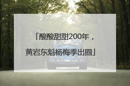 酸酸甜甜200年，黄岩东魁杨梅季出圈