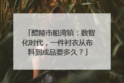 醴陵市船湾镇：数智化时代，一件衬衣从布料到成品要多久？