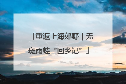 重返上海郊野｜无斑雨蛙“回乡记”