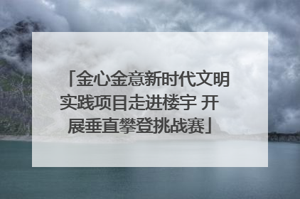 金心金意新时代文明实践项目走进楼宇 开展垂直攀登挑战赛