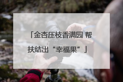 金杏压枝香满园 帮扶结出“幸福果”