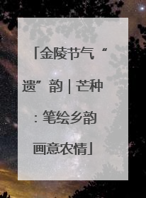 金陵节气“遗”韵｜芒种：笔绘乡韵 画意农情