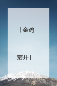 金鸡菊开