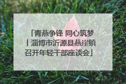 青燕争锋 同心筑梦丨淄博市沂源县燕崖镇召开年轻干部座谈会