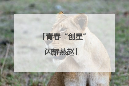 青春“创星” 闪耀燕赵