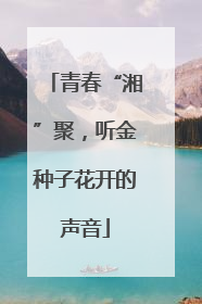 青春“湘”聚，听金种子花开的声音