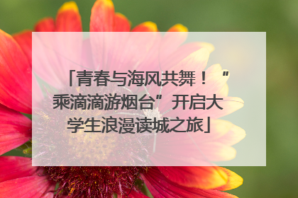 青春与海风共舞！“乘滴滴游烟台”开启大学生浪漫读城之旅