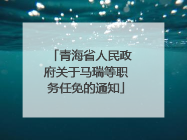 青海省人民政府关于马瑞等职务任免的通知