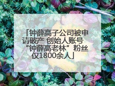 钟薛高子公司被申请破产 创始人账号“钟薛高老林”粉丝仅1800余人