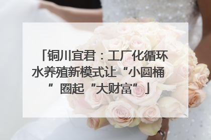 铜川宜君：工厂化循环水养殖新模式让“小圆桶”圈起“大财富”