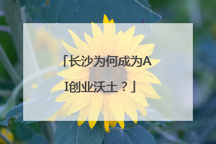 长沙为何成为AI创业沃土？