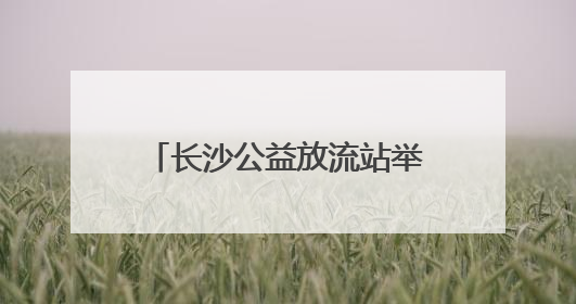 长沙公益放流站举行科学放生行动