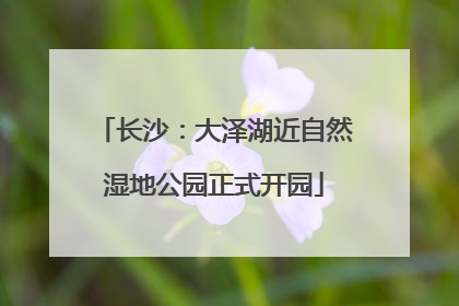 长沙：大泽湖近自然湿地公园正式开园