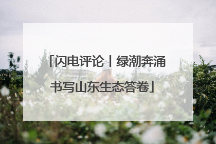 闪电评论丨绿潮奔涌 书写山东生态答卷