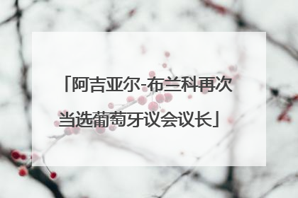 阿吉亚尔-布兰科再次当选葡萄牙议会议长
