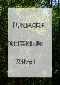 阜阳两非遗项目亮相国际文化节