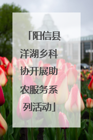 阳信县洋湖乡科协开展助农服务系列活动