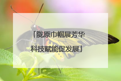 陇原巾帼展芳华 科技赋能促发展