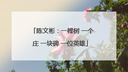 陈文彬：一棵树 一个庄 一块碑 一位英雄