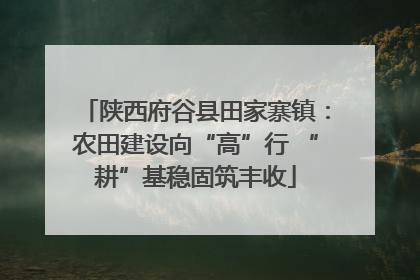 陕西府谷县田家寨镇：农田建设向“高”行 “耕”基稳固筑丰收