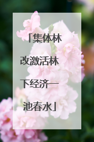 集体林改激活林下经济一池春水