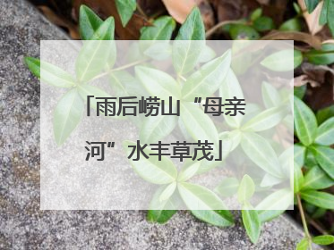 雨后崂山“母亲河”水丰草茂