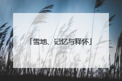 雪地、记忆与释怀