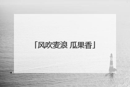 风吹麦浪 瓜果香