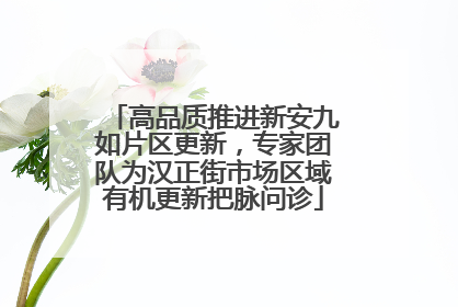 高品质推进新安九如片区更新，专家团队为汉正街市场区域有机更新把脉问诊