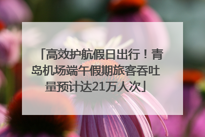 高效护航假日出行！青岛机场端午假期旅客吞吐量预计达21万人次