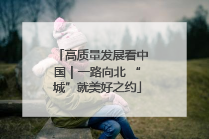 高质量发展看中国｜一路向北 “城”就美好之约