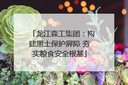 龙江森工集团：构建黑土保护屏障 夯实粮食安全根基