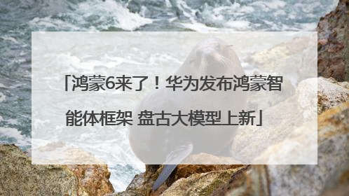鸿蒙6来了！华为发布鸿蒙智能体框架 盘古大模型上新