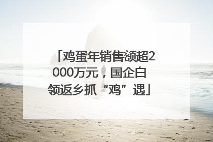 鸡蛋年销售额超2000万元，国企白领返乡抓“鸡”遇