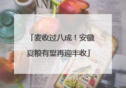 麦收过八成！安徽夏粮有望再迎丰收
