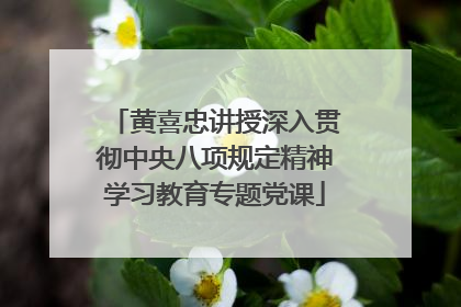 黄喜忠讲授深入贯彻中央八项规定精神学习教育专题党课