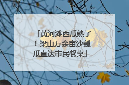 黄河滩西瓜熟了！梁山万余亩沙瓤瓜直达市民餐桌