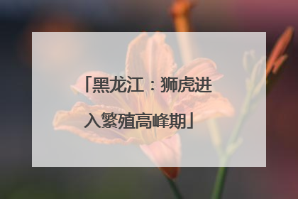 黑龙江：狮虎进入繁殖高峰期