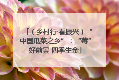 （乡村行·看振兴）“中国瓜菜之乡”：“莓”好前景 四季生金