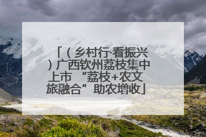 （乡村行·看振兴）广西钦州荔枝集中上市 “荔枝+农文旅融合”助农增收