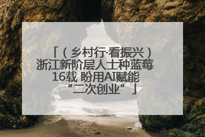 （乡村行·看振兴）浙江新阶层人士种蓝莓16载 盼用AI赋能“二次创业”