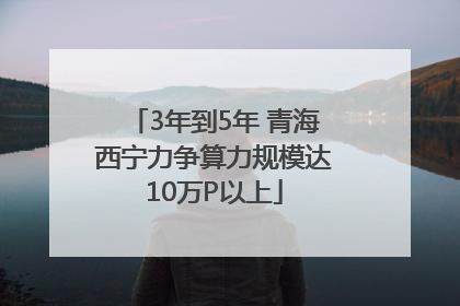 3年到5年 青海西宁力争算力规模达10万P以上