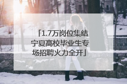 1.7万岗位集结 宁夏高校毕业生专场招聘火力全开