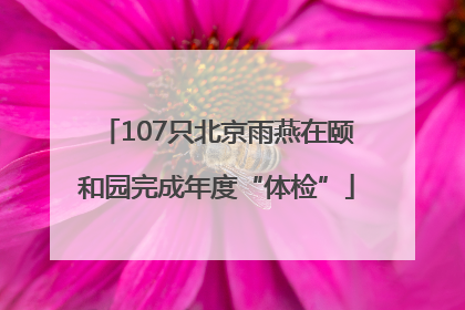 107只北京雨燕在颐和园完成年度“体检”